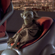 Yaddle in The Phantom Menace